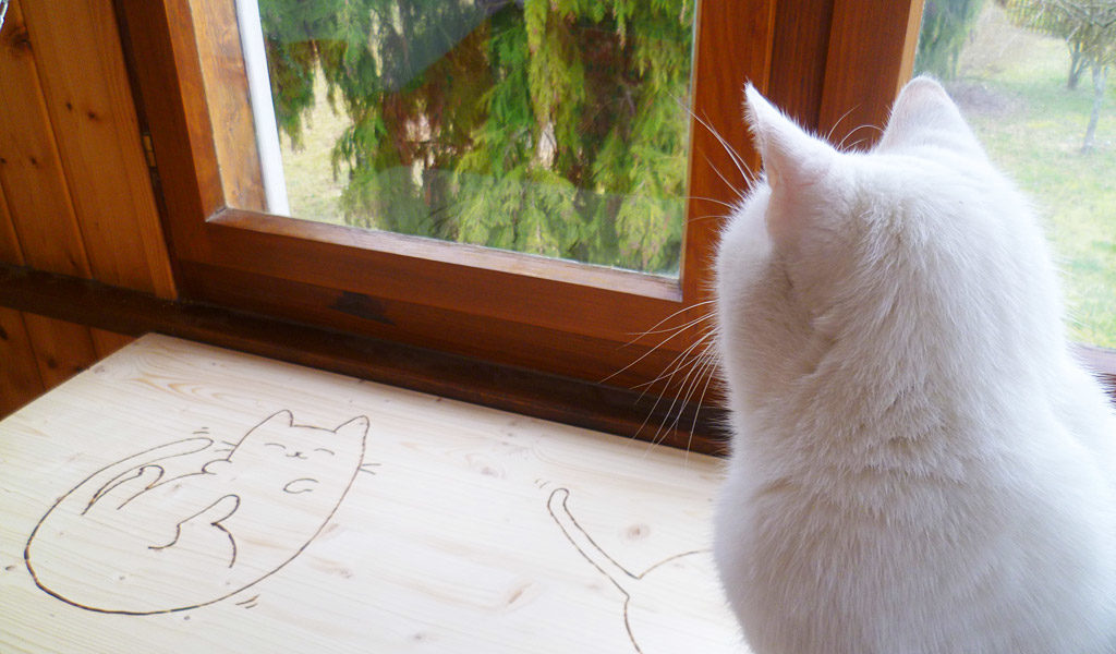 Photo de la véranda de la pension - Un chat sur une tablette regarde le jardin