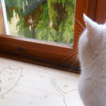 Photo de la véranda de la pension - Un chat sur une tablette regarde le jardin