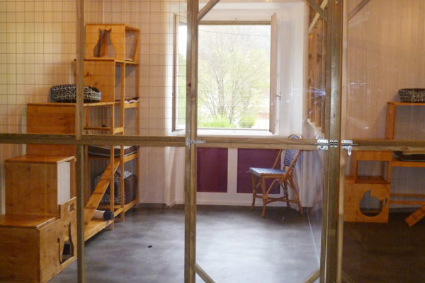 Pension du Chat Perché - Photo d'une fenêtre entre la véranda et une chambre de la pension vue de l'extérieur