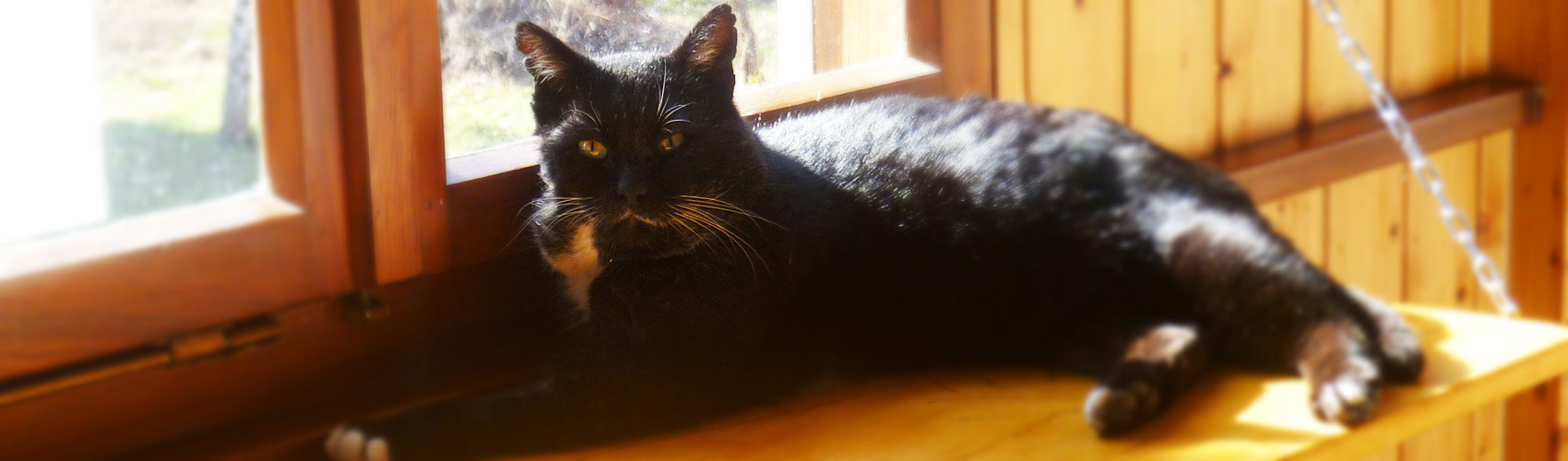 Pension du Chat Perché : Photo de haut de page