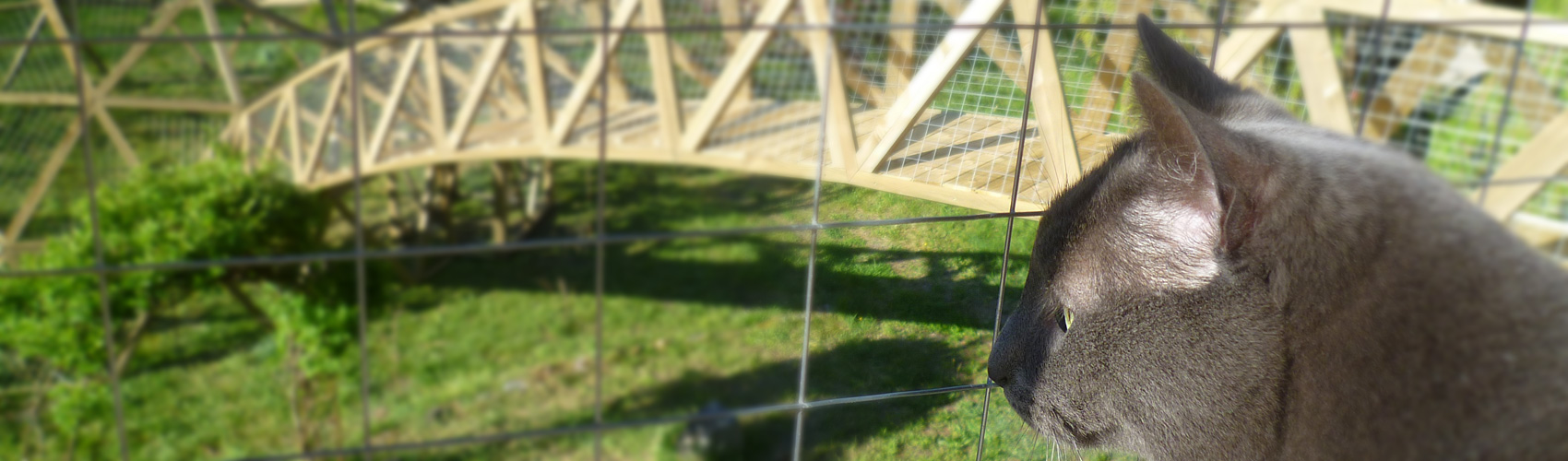 Pension du Chat Perché : Photo de haut de page