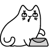 Image de chat qui demande à manger